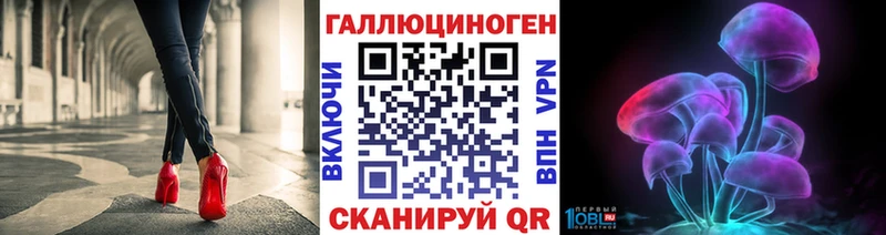 как найти закладки Хвалынск Галлюциногенные грибы прущие грибы