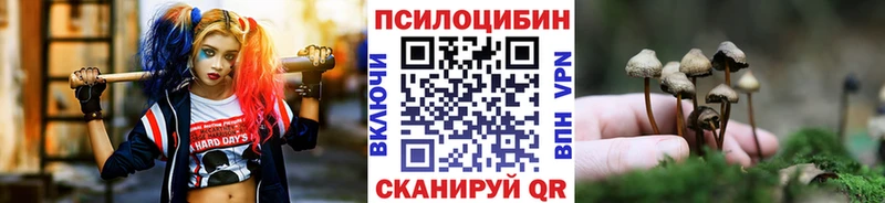 Галлюциногенные грибы прущие грибы Хвалынск
